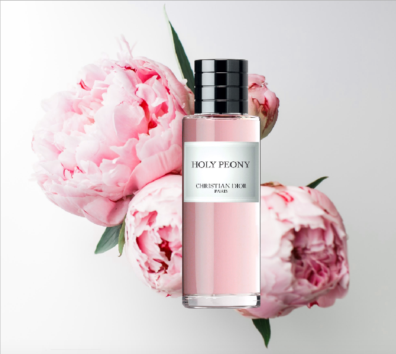 holy peony dior review